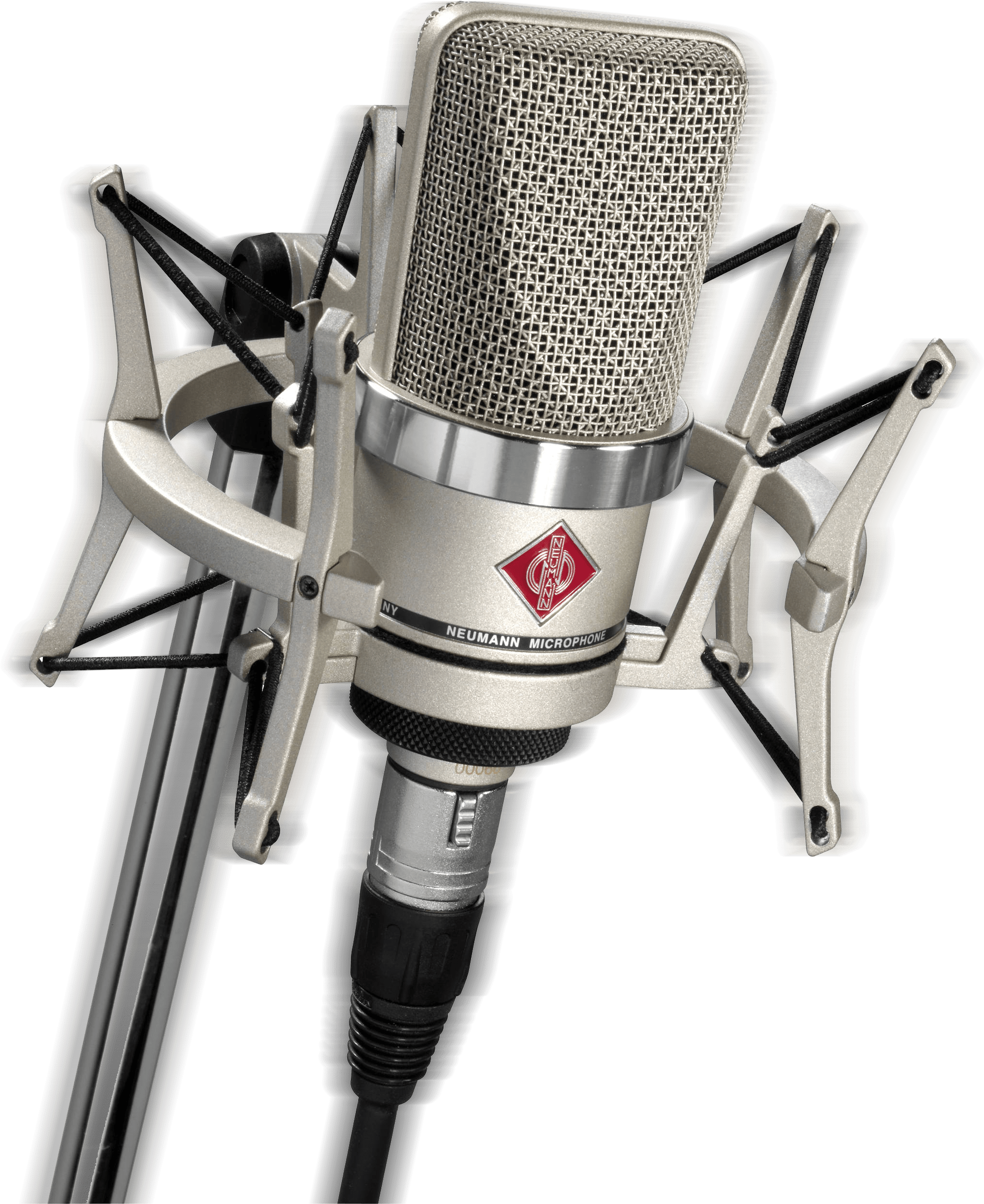 Professional Studio Microphone