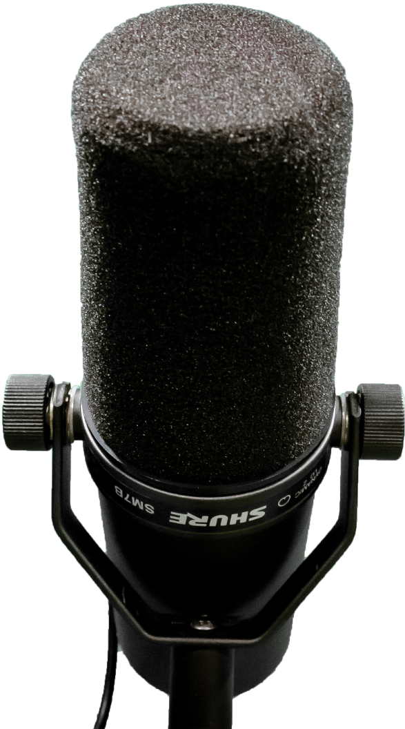 Professional Studio Microphone