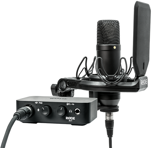 Professional Studio Microphone Setup