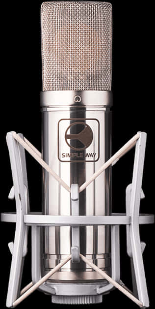 Professional Studio Microphone