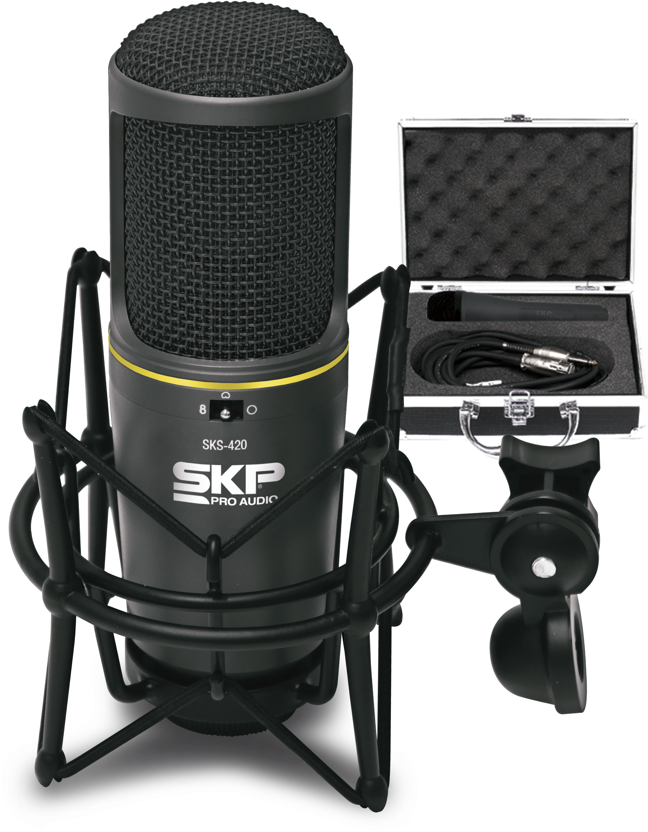 Professional Studio Microphonewith Case