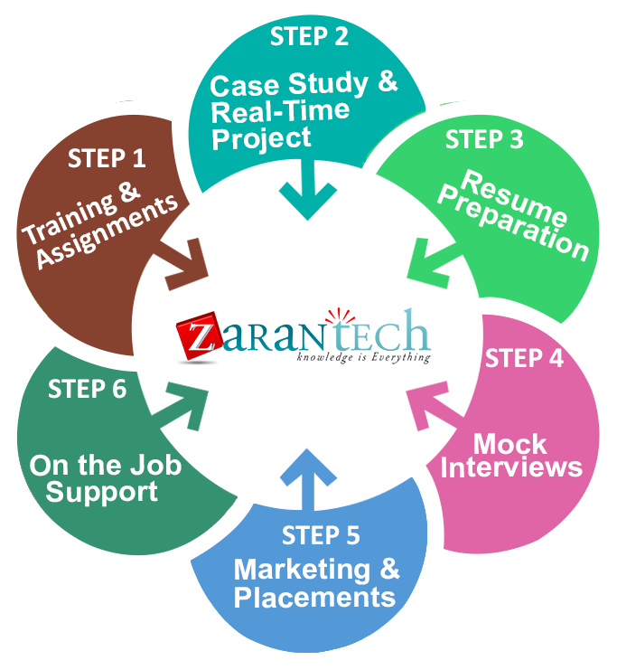 Professional Training Steps Infographic