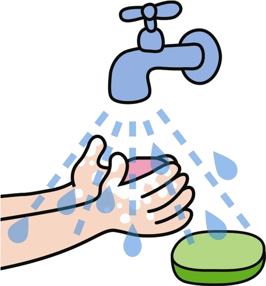 Proper Hand Washing Technique