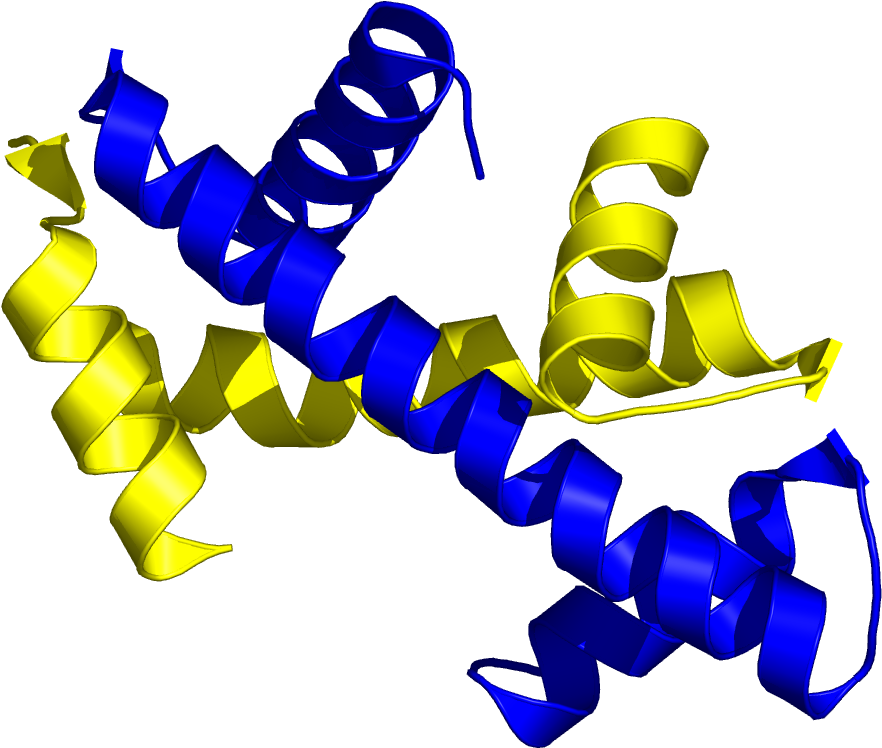 Protein Structure3 D Model