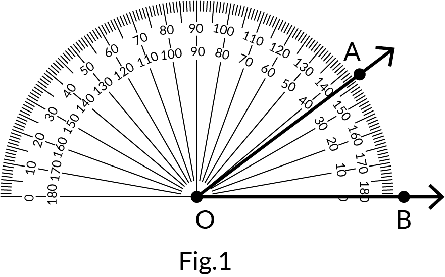 Protractor Measuring Angles Diagram