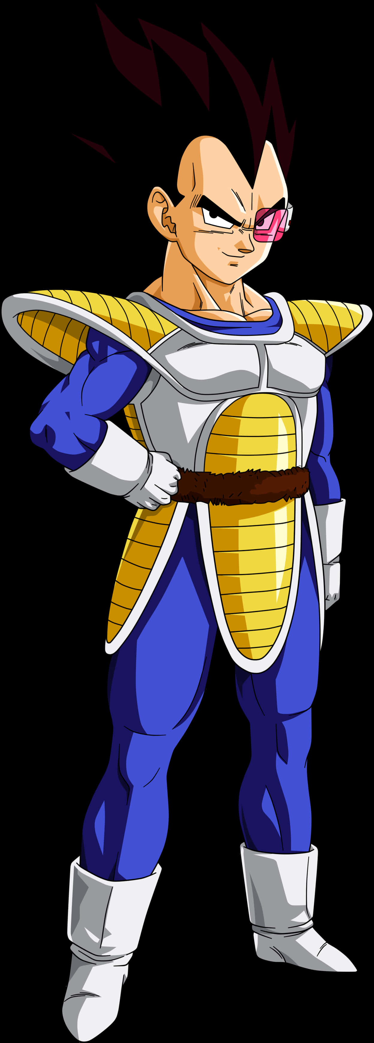 Proud Saiyan Warrior Vegeta