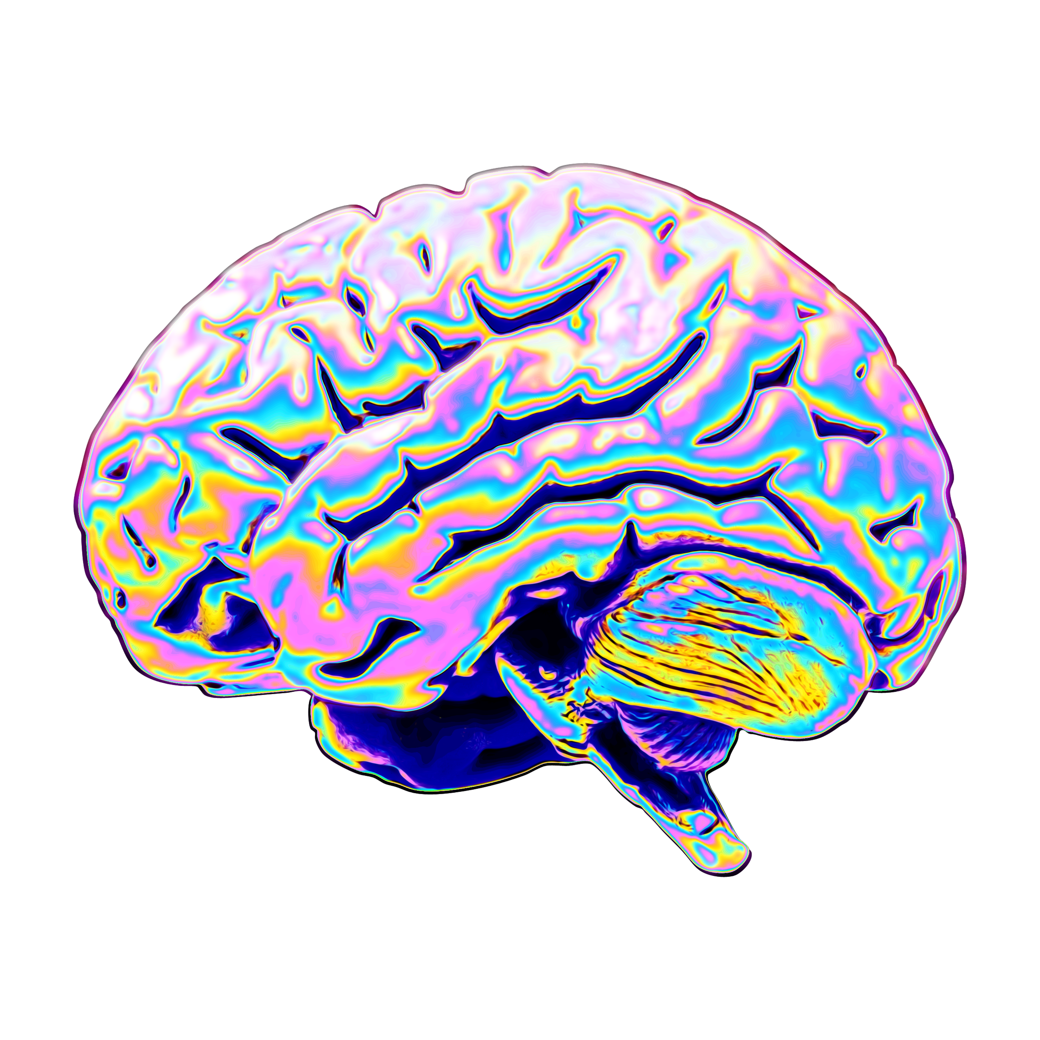 Psychedelic Brain Illustration