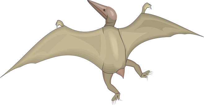 Pterosaur Illustration