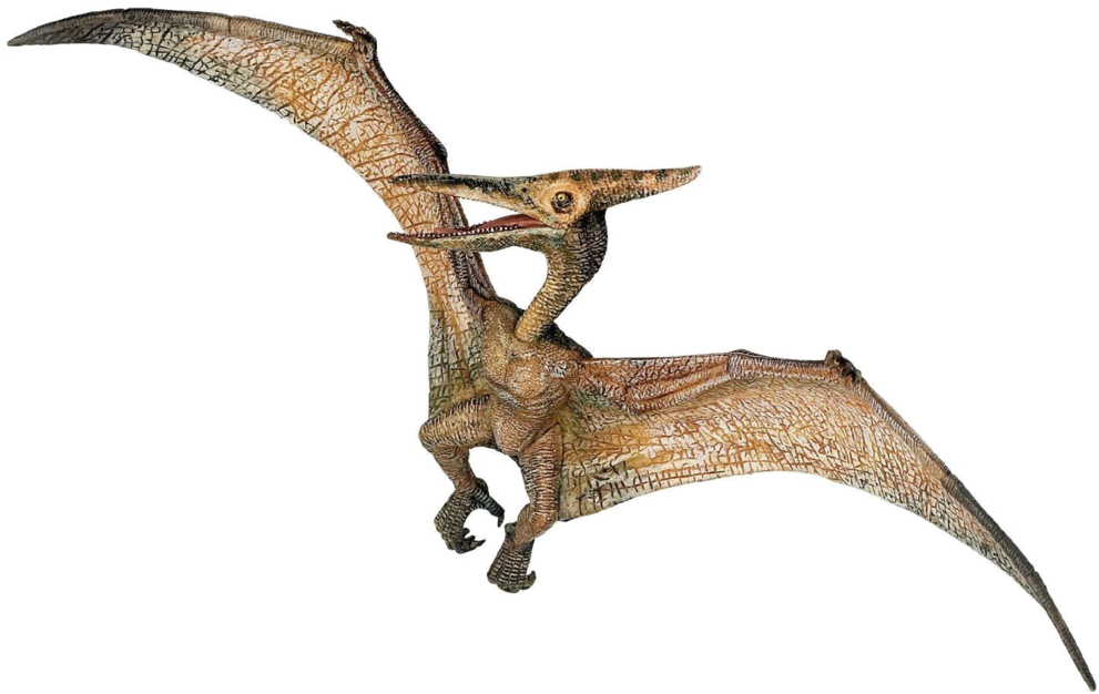 Pterosaur Illustration Jurassic Park