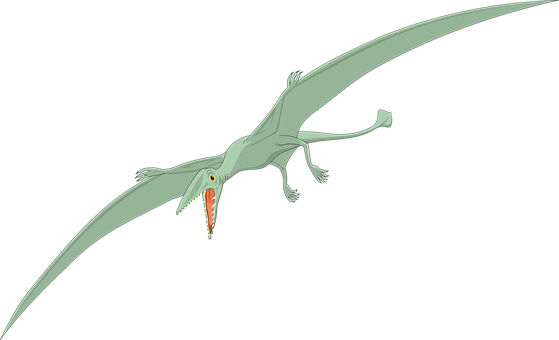 Pterosaur In Flight Illustration