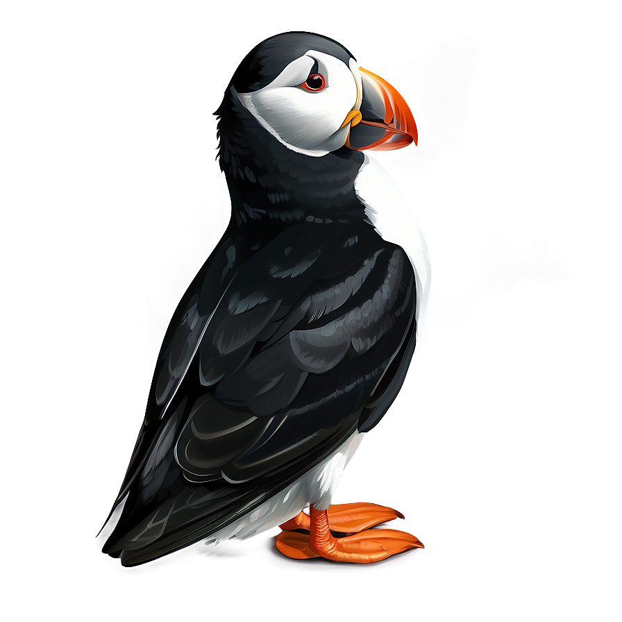 Puffin Black And White Png 06292024