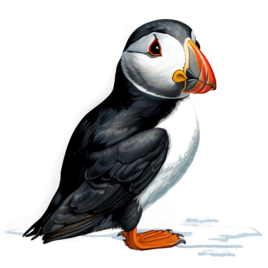 Puffin In Snow Png Scr