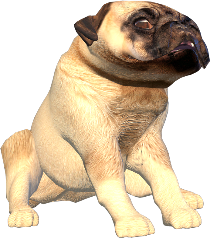 Pug Dog3 D Model