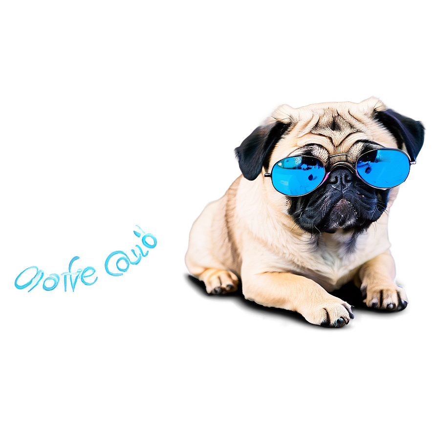 Pug With Sunglasses Png 54