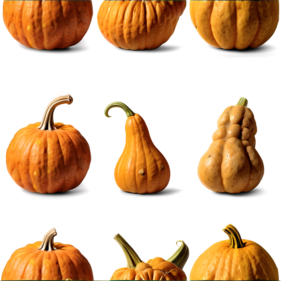 Pumpkin And Gourds Png Aqs