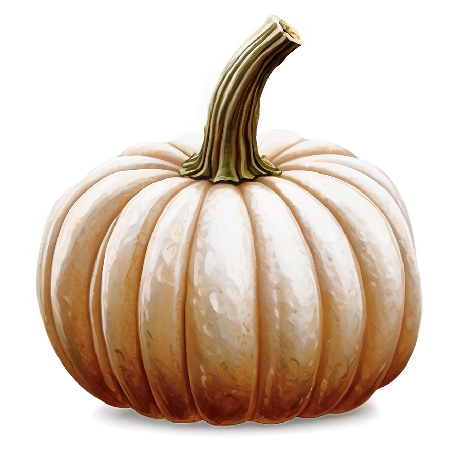 Pumpkin In The Field Png Cke