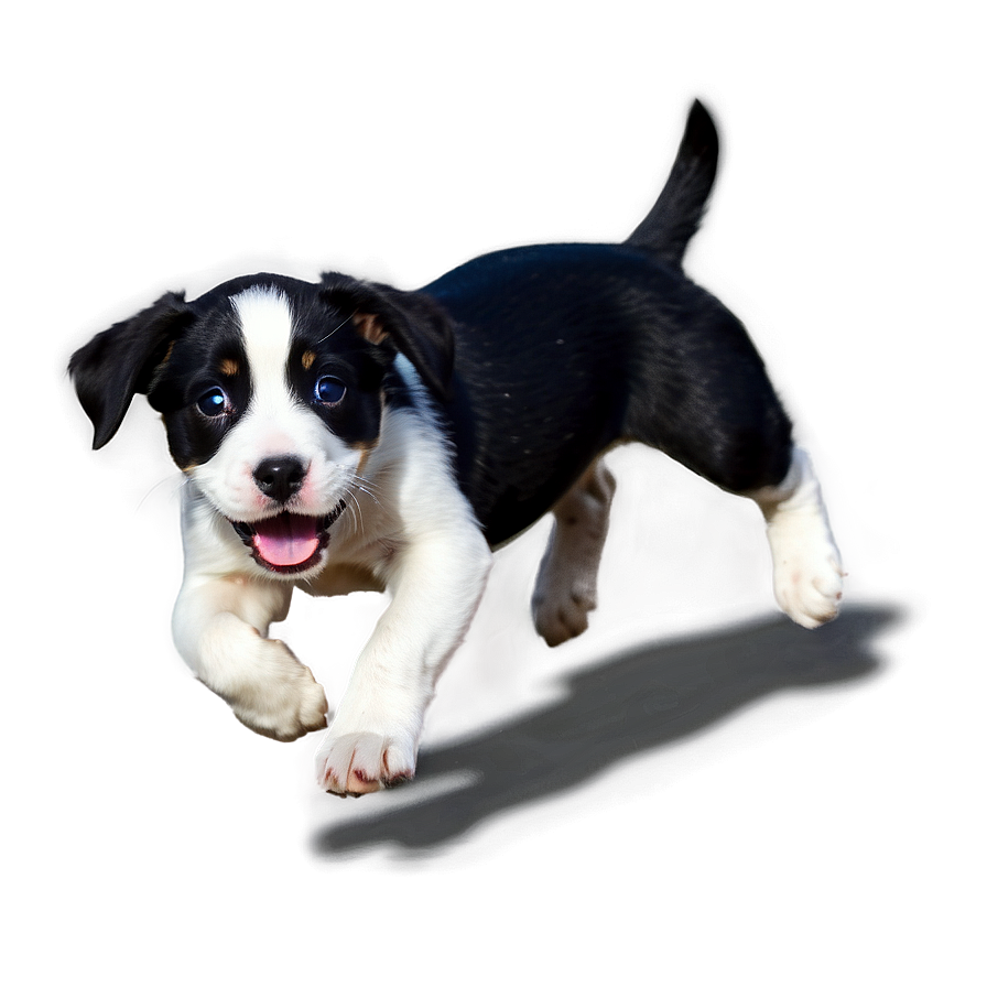 Puppy Running Png 06132024