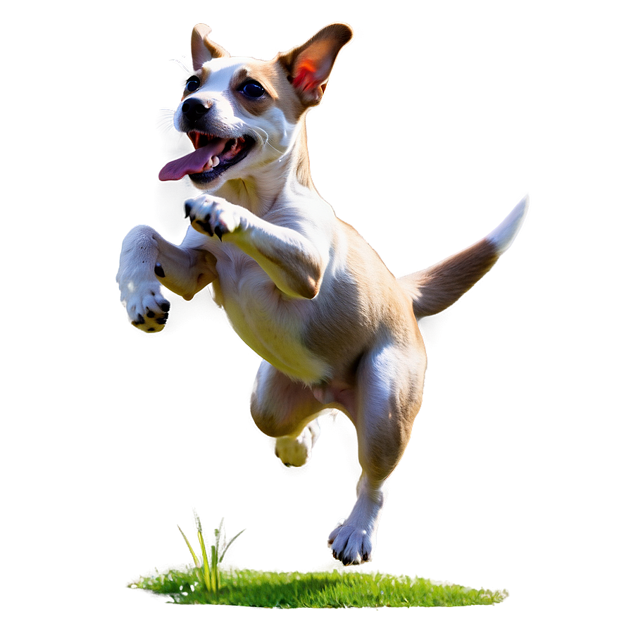 Puppy Running Png 06132024