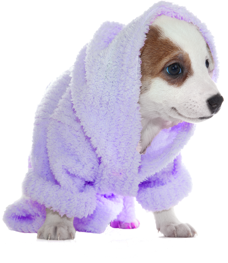 Puppyin Purple Bathrobe