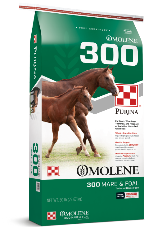 Purina Molene300 Mareand Foal Horse Feed Bag