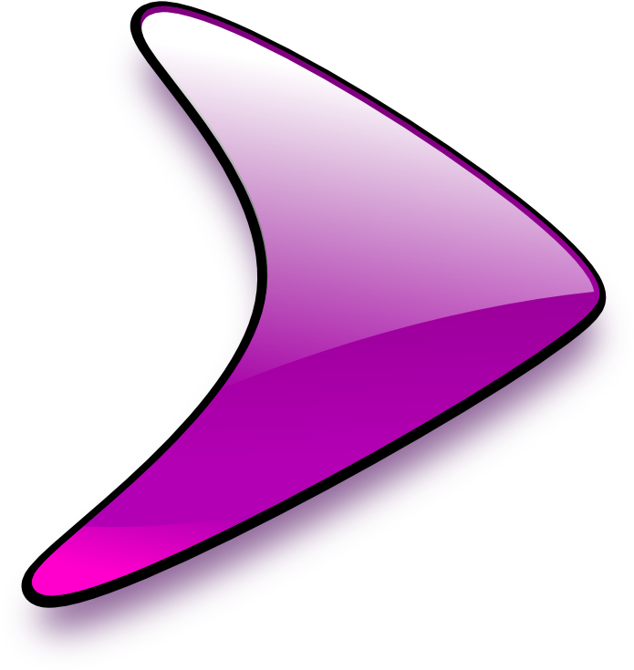 Purple Boomerang Graphic