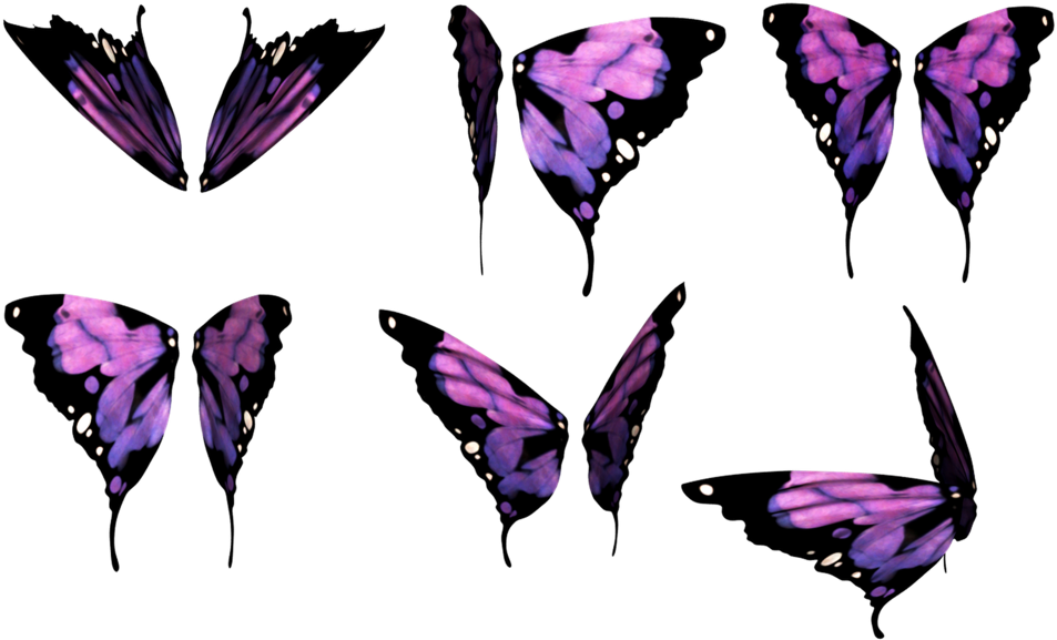 Purple Butterfly Wings Collection.png