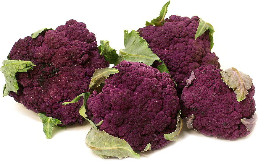 Purple Cauliflower Cluster.png