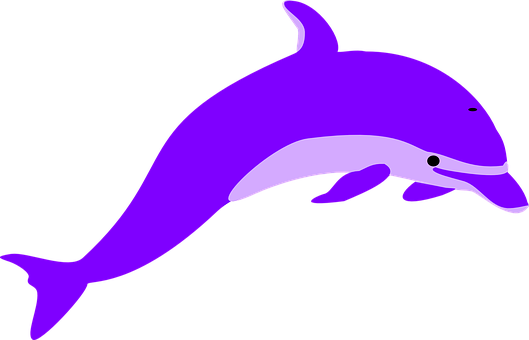 Purple Dolphin Graphic