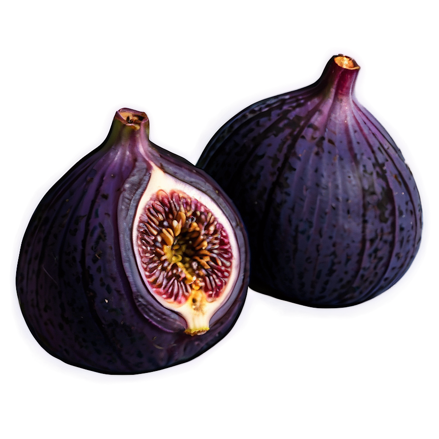 Purple Fig Drawing Png 42