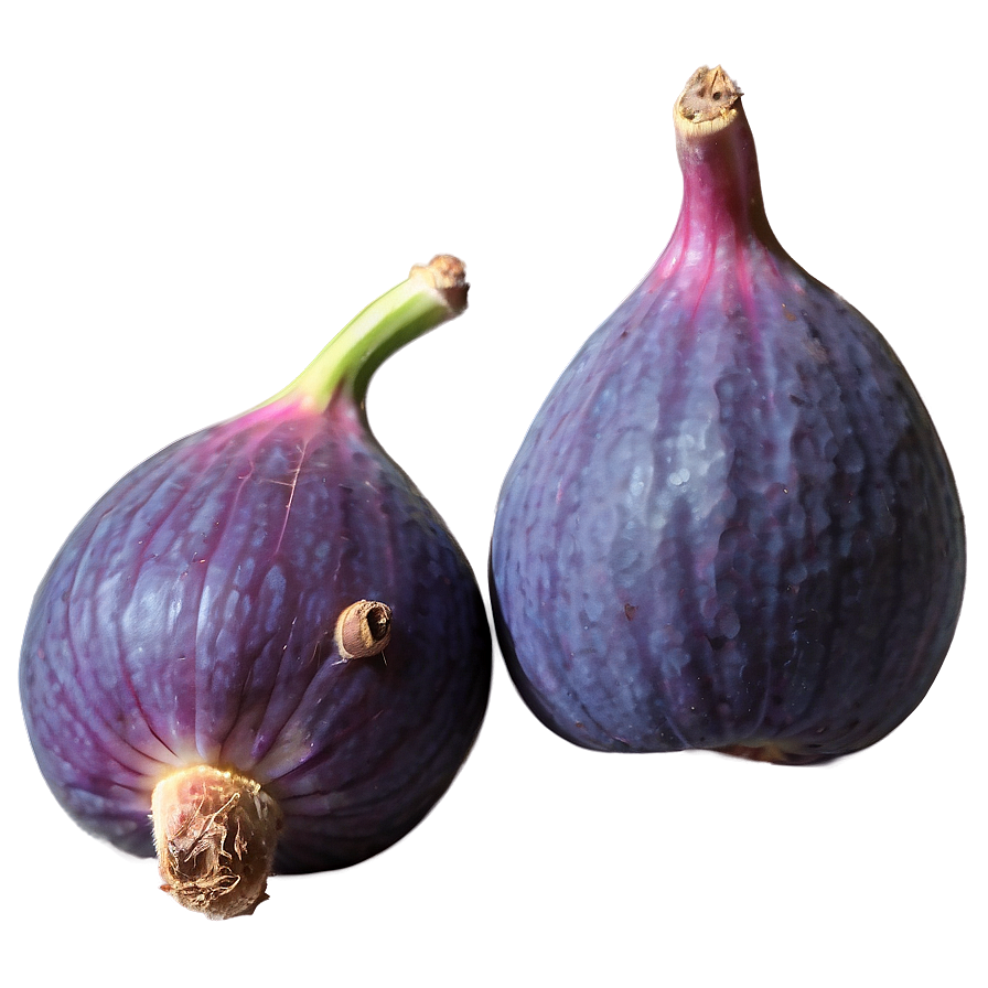 Purple Fig Drawing Png Wte