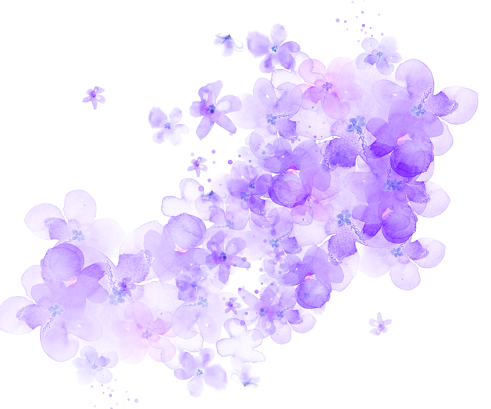 Purple_ Floral_ Watercolor_ Cluster.png