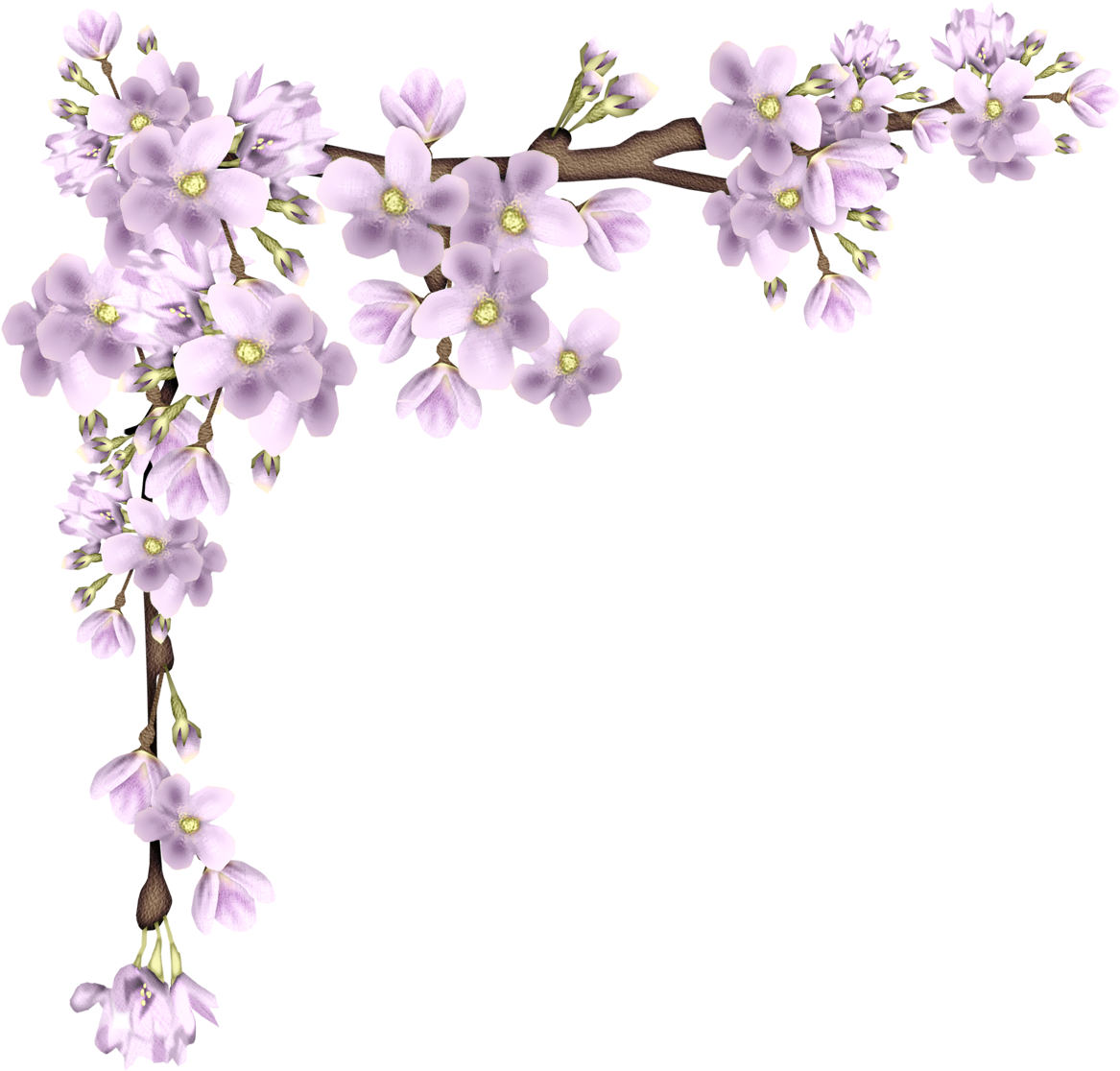 Purple Flowering Branch Graphic