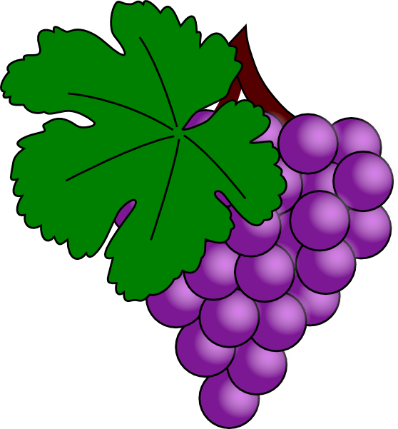 Purple Grapes Cluster Illustration