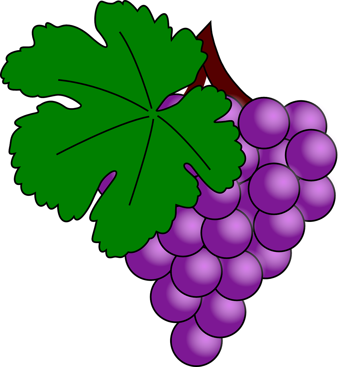 Purple Grapes Cluster Illustration