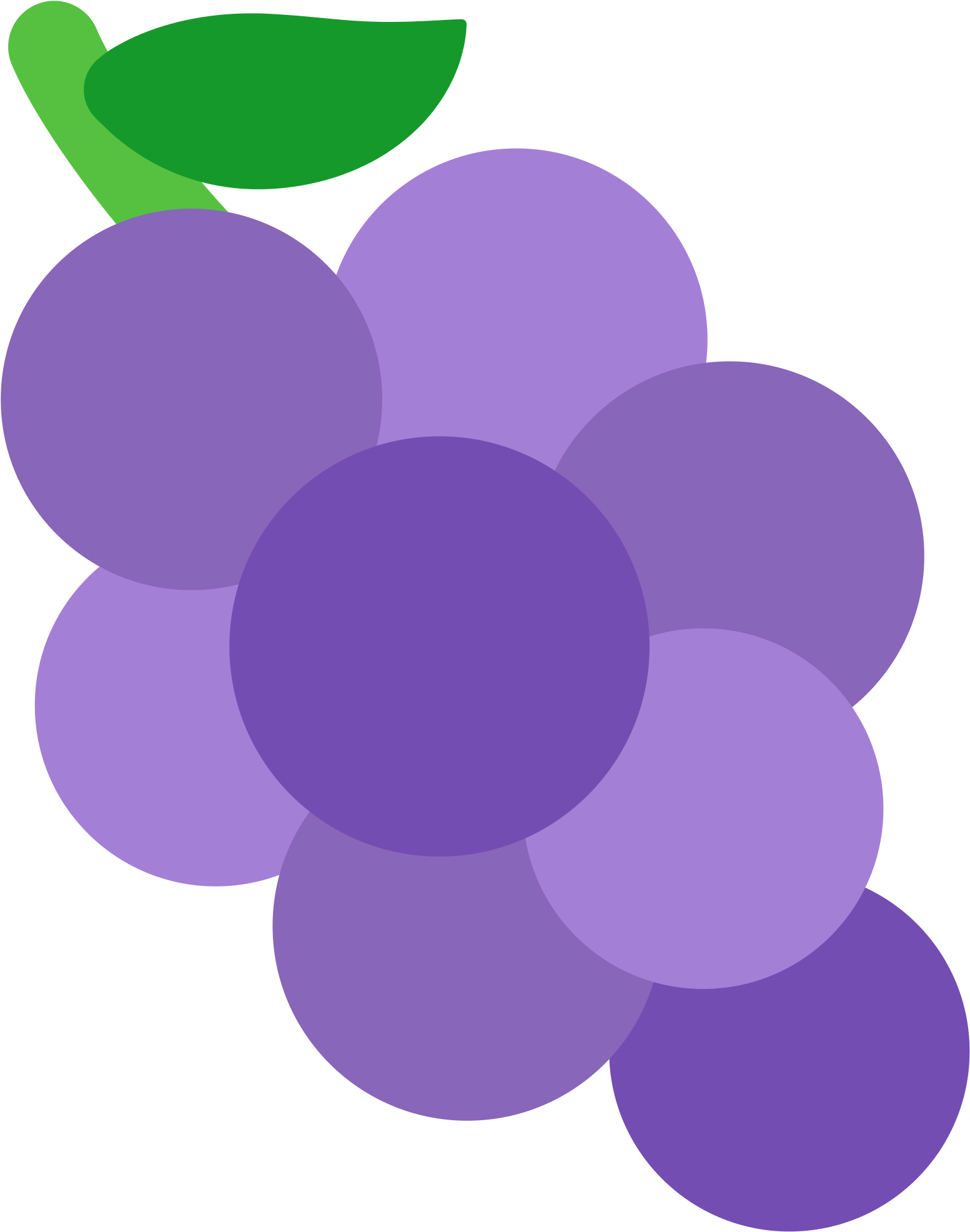 Purple Grapes Vector Illustration