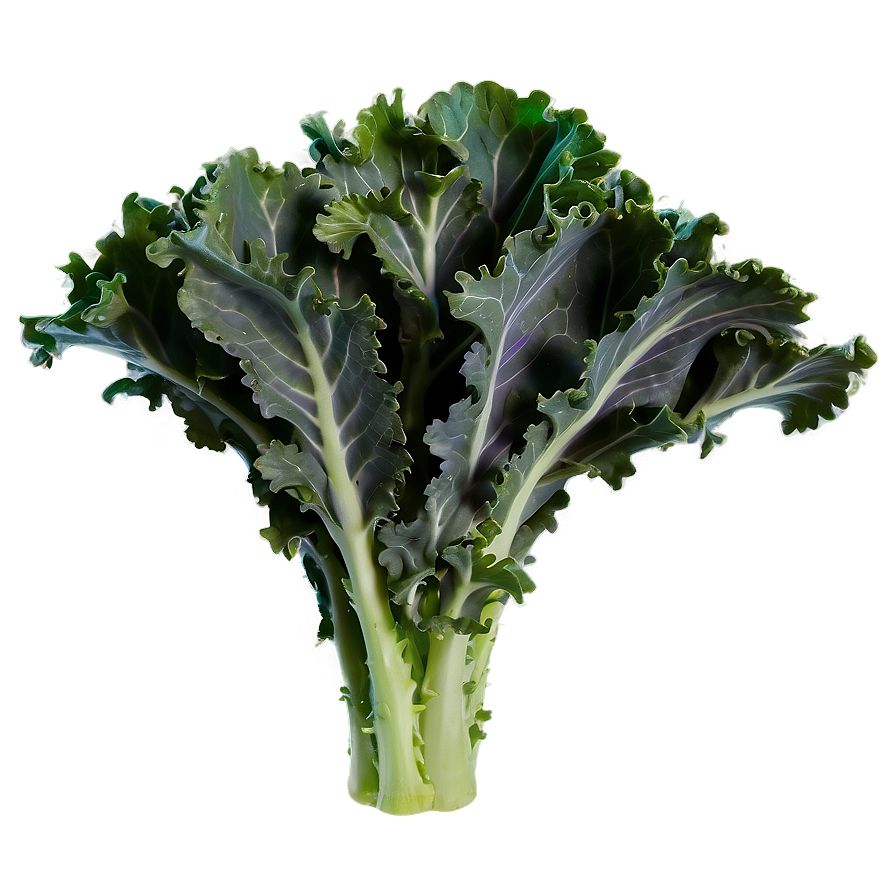 Purple Kale Png 3