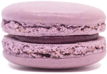 Purple Macaron Sweet Treat