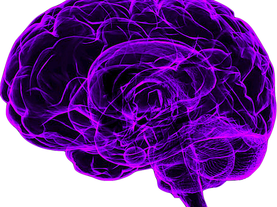 Purple Neural Network Brain Illustration