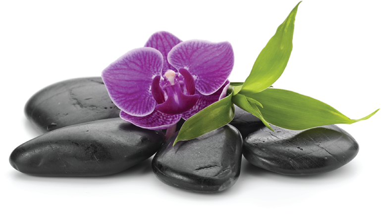 Purple Orchidand Black Spa Stones