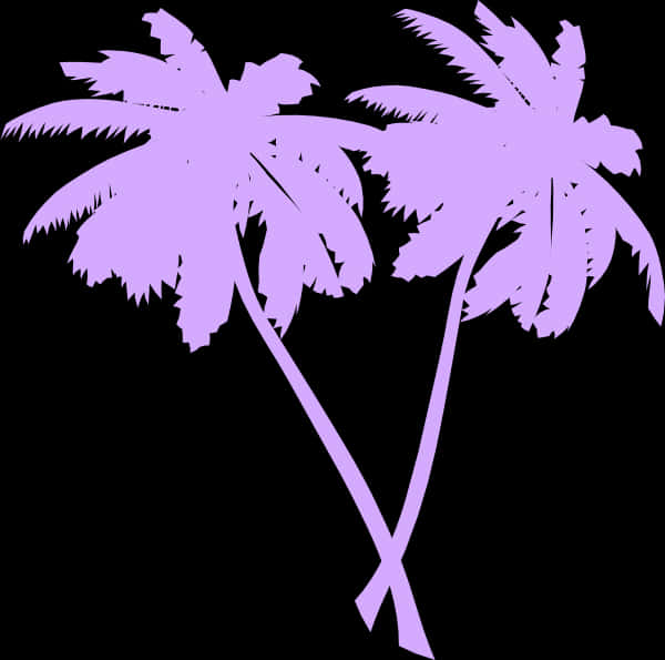 Purple Palm Silhouetteson Black