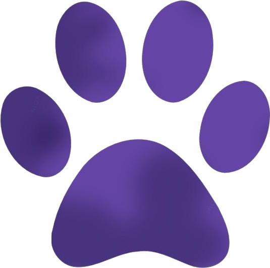 Purple Paw Print Graphic