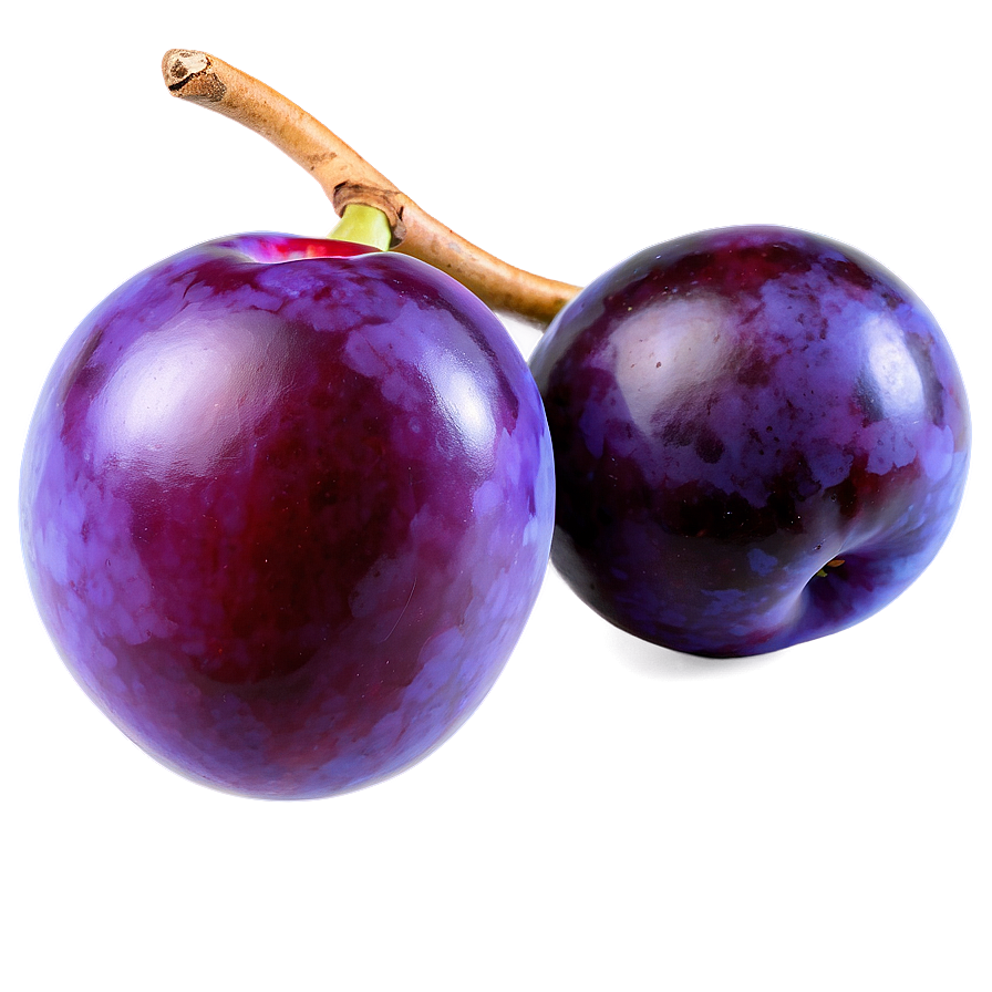 Purple Plum Graphic Png Ctt