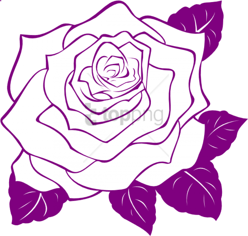 Purple_ Rose_ Outline_ Artwork