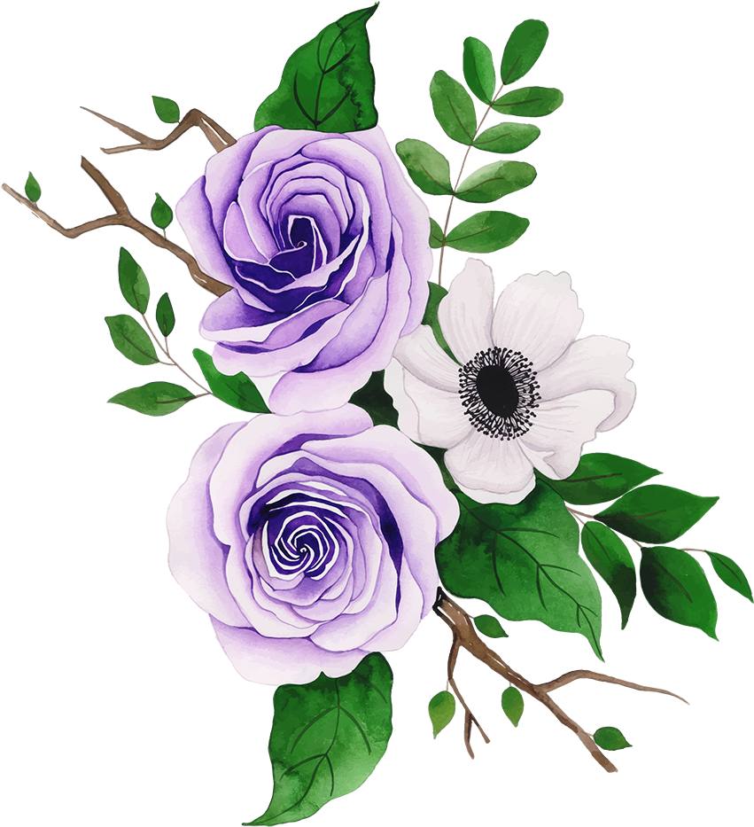 Purple Rosesand White Anemone Vector