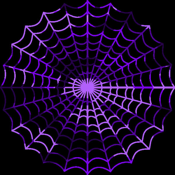 Purple Spider Web Graphic