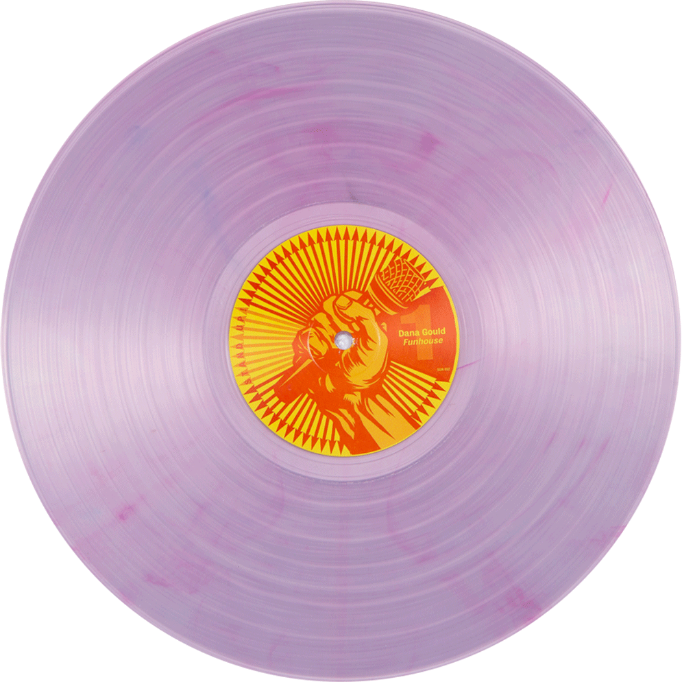 Purple Vinyl Record Dana Gould Funhouse