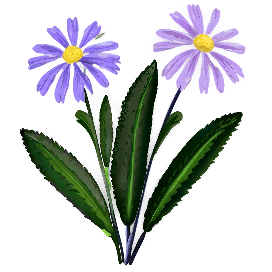 Purple Wildflower Png 23