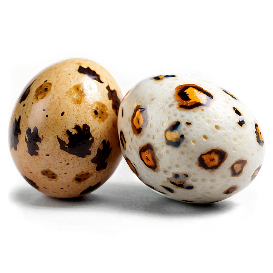 Quail Egg Png 05042024