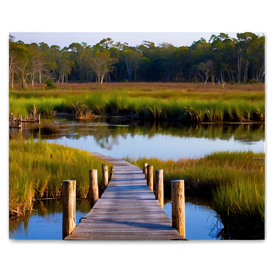 Quiet Marsh Walkway Png 06202024