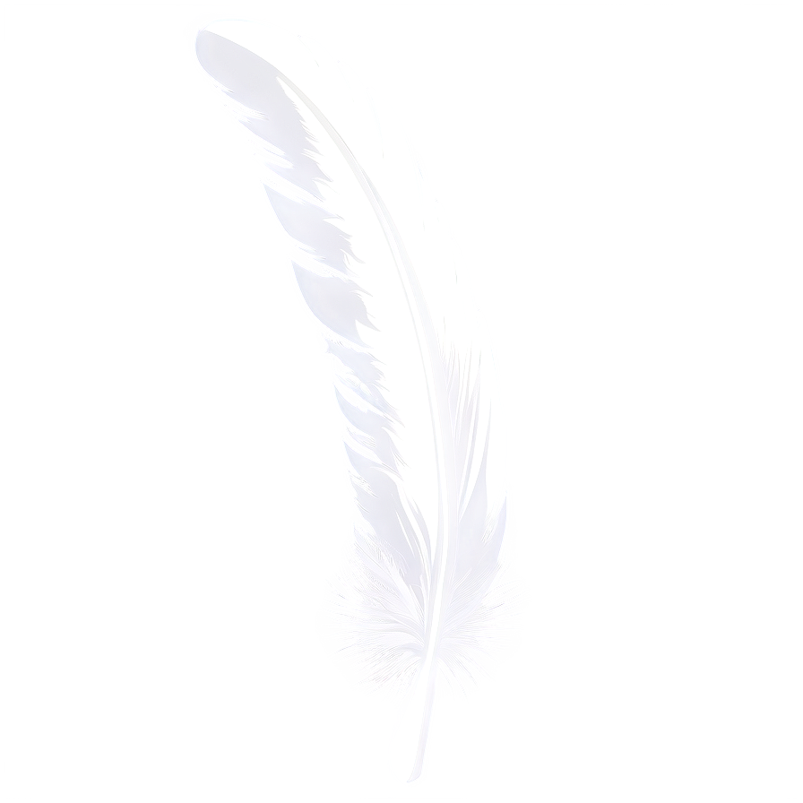 Quill Feather Writing Tool Png Sqi